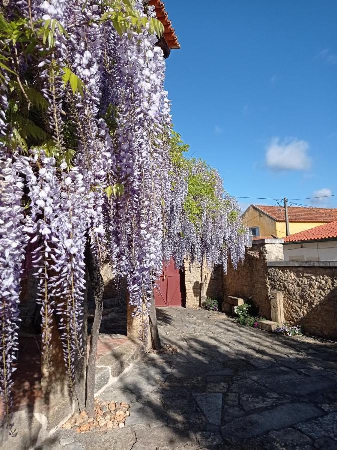 Casarao Do Largo Da Eira Lägenhet Tomar Exteriör bild